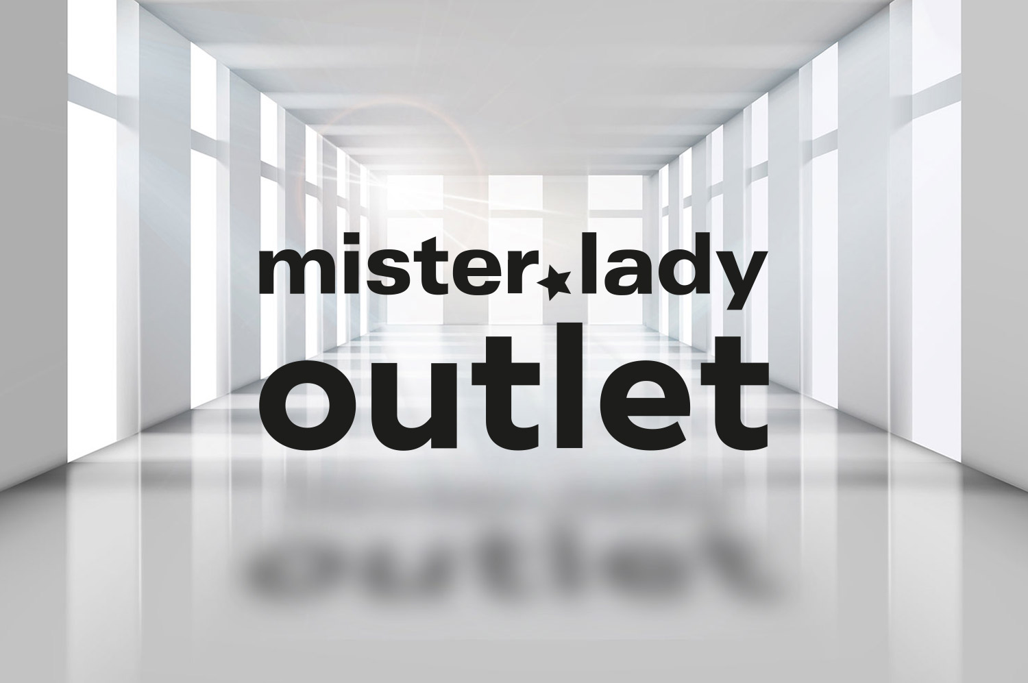 mister lady shop