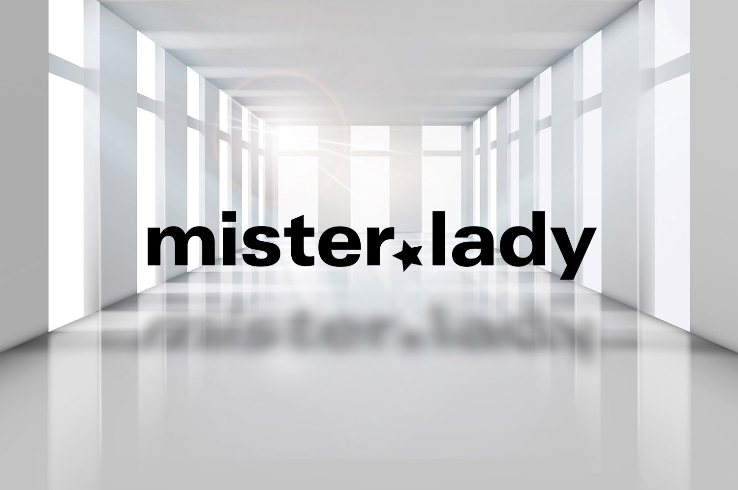 mister lady shop