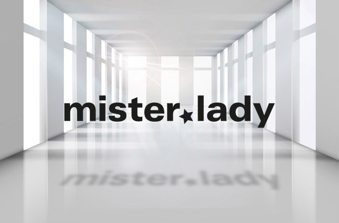mister lady