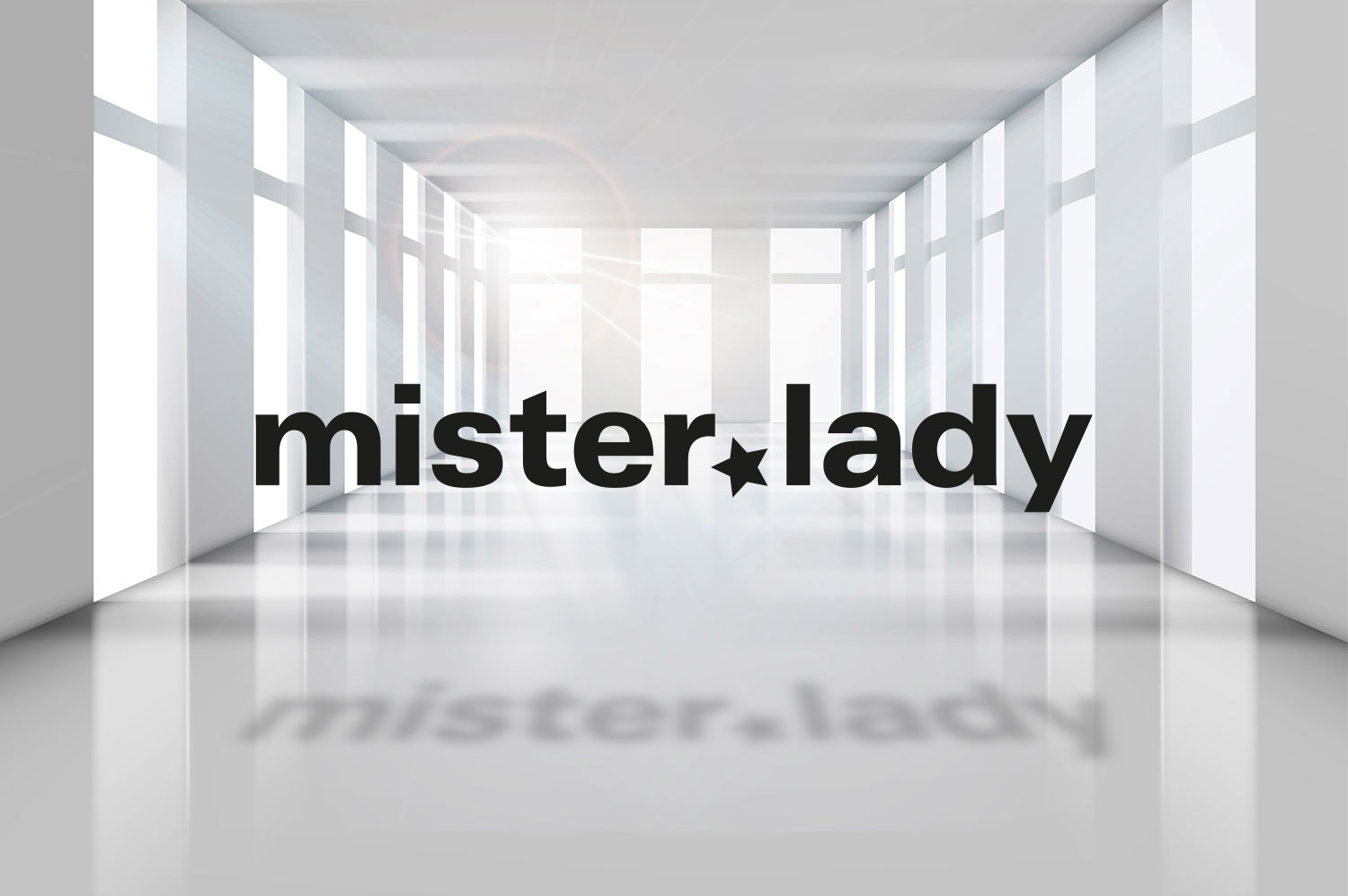 mister lady shop